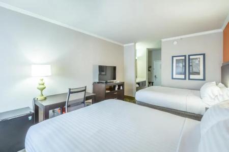 Holiday Inn Express Island, An Ihg - 75