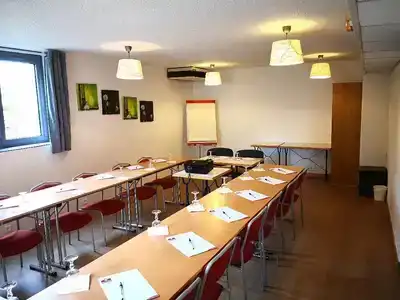 Best Hôtel Euromédecine - 16