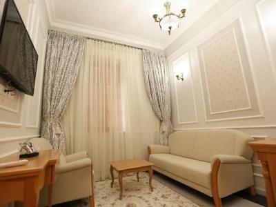Sergei Palace - 79
