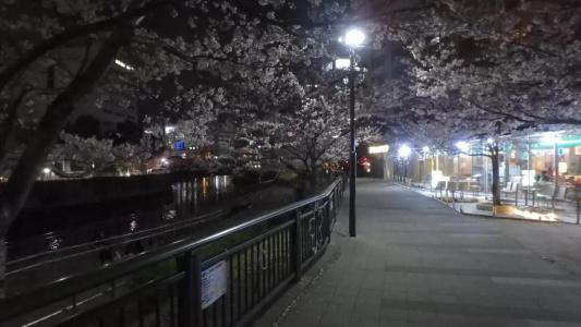 Ryokan Sansuiso - 15