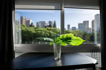 Sucre Suites - 77
