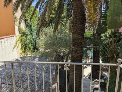 Pastis St Tropez - 42