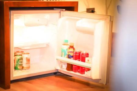 Big Tree Old Town - 85