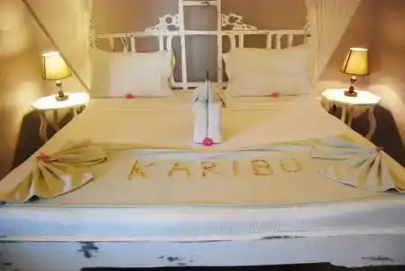 Sahari Zanzibar - 49