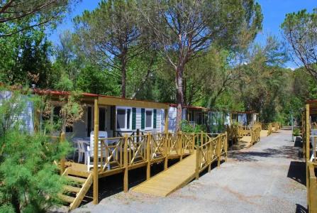 New Camping Le Tamerici - 42