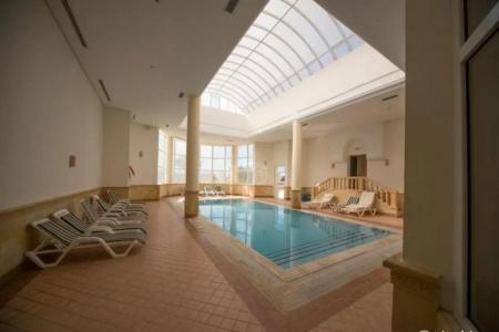 Green Palm - 12