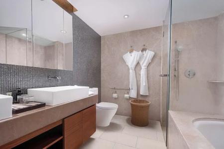 Ascott Raffles City - 163