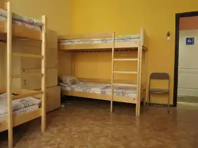 Delil - 21