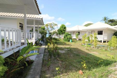 Aesthetic Resort - 12