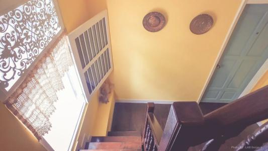 The Unforgotten b&b - 15