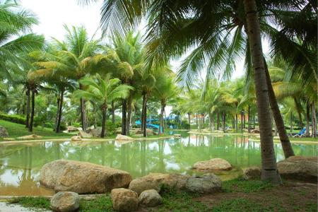 Seastar Properties - 12