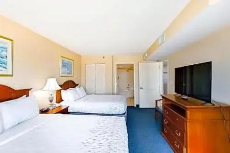 Carolinian Beach - 260