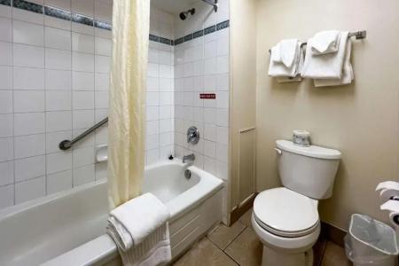 Econo Lodge Village - 78