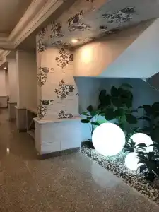 Negresco - 9