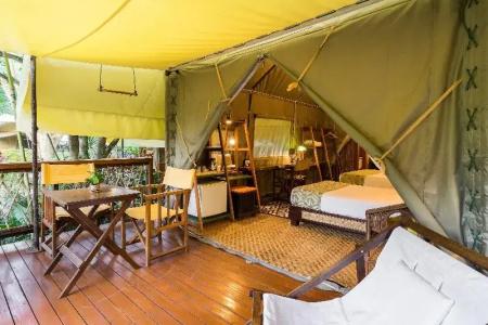 Hintok River Camp - Sha Extra Plus - 30