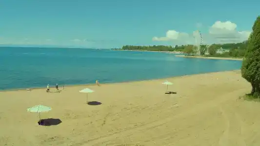 Тулпар - 23