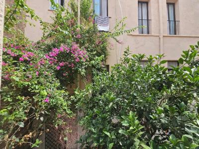 Palermo - 17
