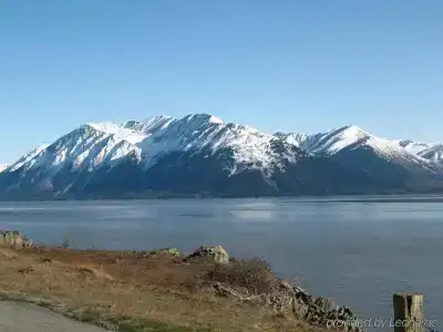 Van Gilder - 5