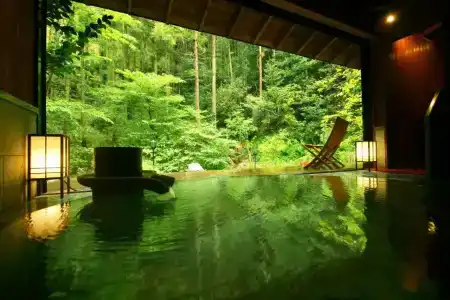 Sakahijiri gyokushoen - 7