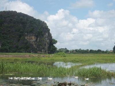 Anna Tham View - 16