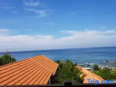 Free Beach Resort - 76