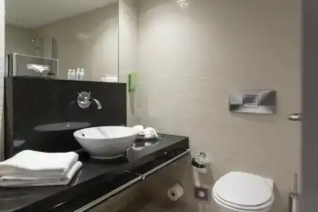 Mövenpick Lausanne - 8
