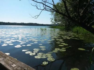 Gościniec Molo - 22