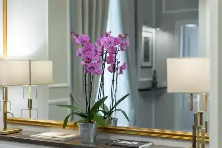 Florence Luxury Suites and Wellness - 114