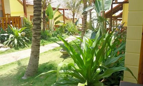 Viet Thanh Resort - 100