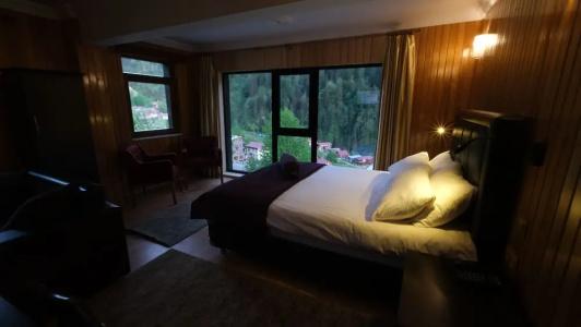 Ayder Villa de Pelit - 43