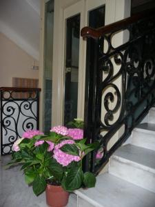 Cantore - 10