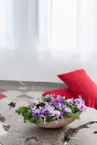 Ikastikies Suites - 62