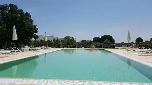 B&B Masseria Peppeturro - 11