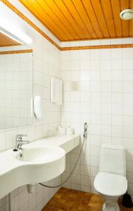 Laplands Riekonlinna - 37