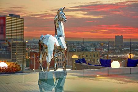 The Statler Dallas, Curio Collection By Hilton - 27