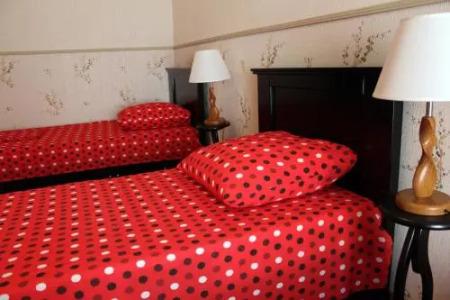 Nest Hostel Tbilisi - 0