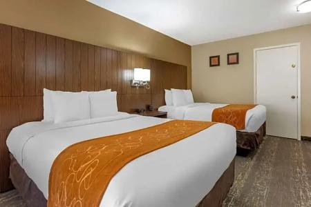 Comfort Suites At Sabino Canyon - 85