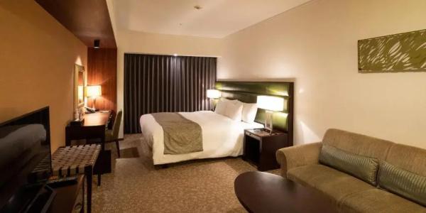 Ibis Styles Sapporo - 64