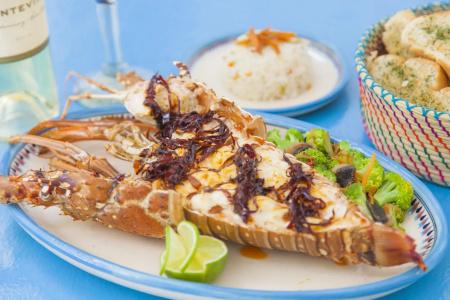 Mestizo Gallery - 12