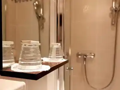 Hôtel du Dauphin - 76