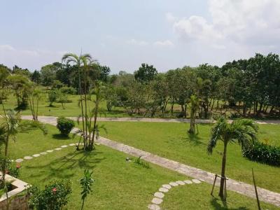 Ishigaki Resort - 46
