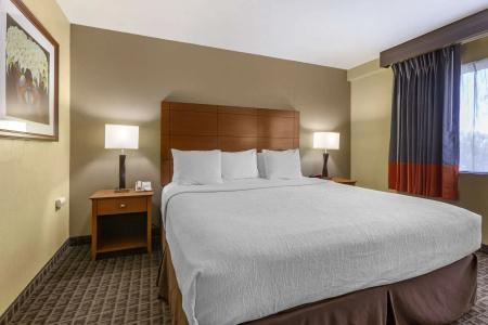 Best Western Plus Thunderbird Suites - 76