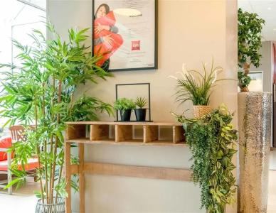 ibis Paris 17 Clichy-Batignolles (ex Berthier) - 16