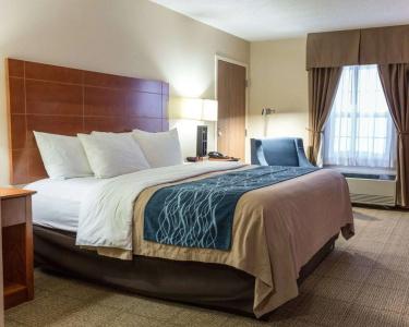 Comfort Inn Civic Center - 35