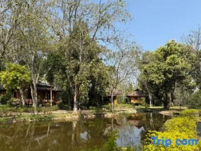 Baan Krating - Sha Plus - 84