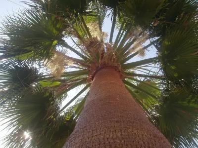 Paradise - 72