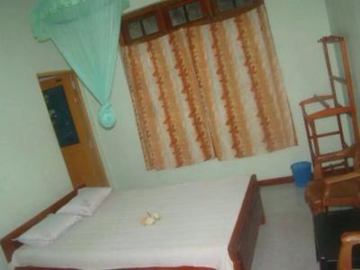 Alp Guest - 1