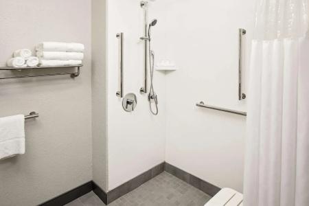 Hampton Inn & Suites Houston-Medical Center-Nrg Park - 56