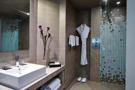 Pullman Toulouse Centre Ramblas - 78