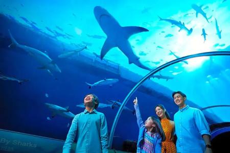 Resorts World Sentosa - Hard Rock (Sg Clean) - 137